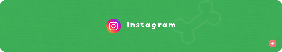 bnr_insta