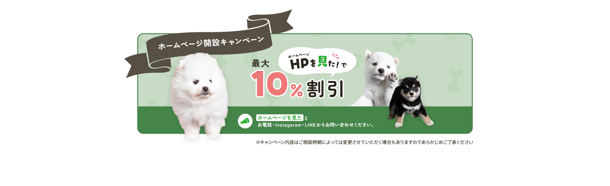 design01_bg