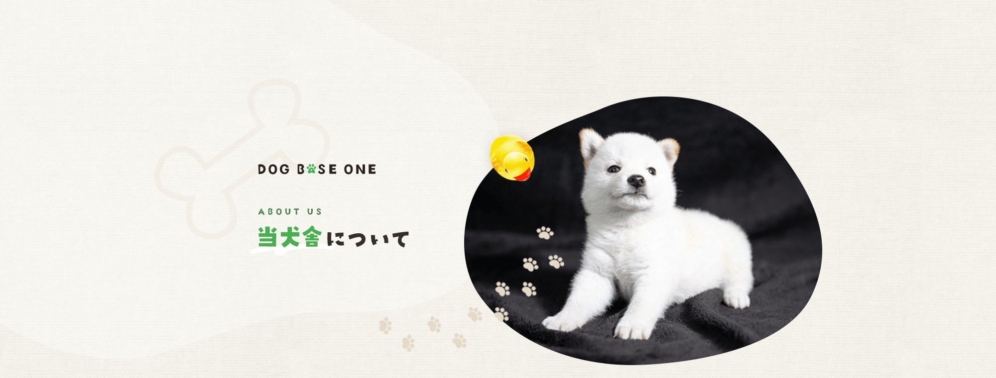 当犬舎について